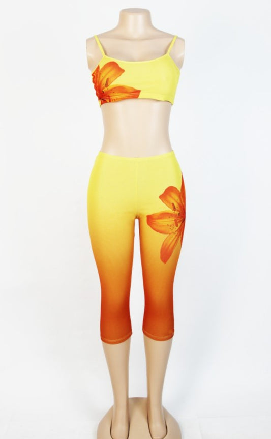 "Lilly Wishes" Ombre Crop Top & Capri Pants Set.
